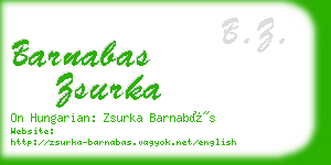 barnabas zsurka business card